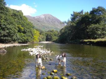 Glencoe Cabins And Caravans