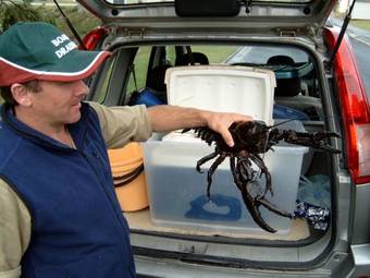 Waratah Falls Holiday Unit