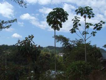 Ver fotos