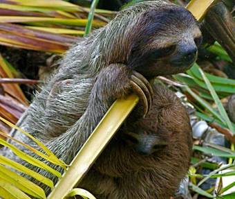 Villa Eclypse De Mar Acqua Lodge