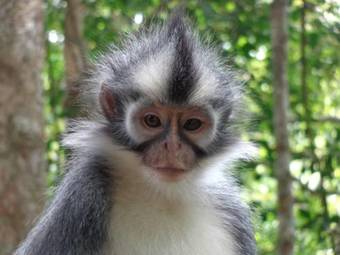 Bed & Breakfast Villa Paradise