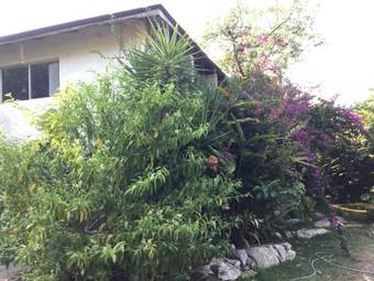 Agroturismo Muumin Farm