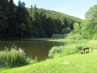 Apartamento Hexenstieg House Lerbach