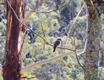 Bed & Breakfast Copeland House