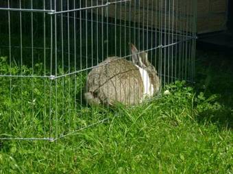 Apartamento Ferienwohnung-freuen