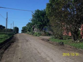 La Casa De Los Pinos