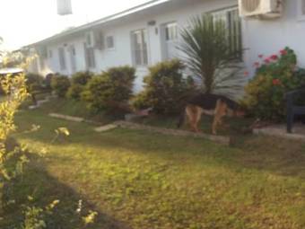 Apartamento Dulce Atardecer