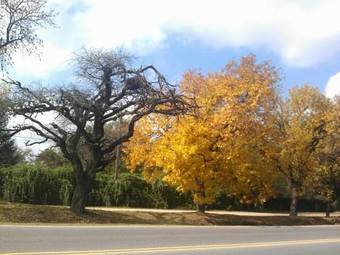 Apartamento Caba�as Buen Dia