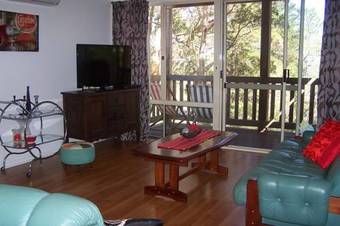 Tall Timbers At Youngs