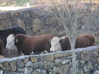 Agroturismo Hotel Fazenda Boutique Terra Do Gelo