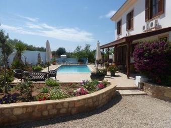 Bed & Breakfast Wild Flower