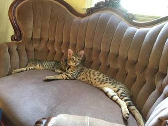 Agroturismo Montana Hill Guest Ranch