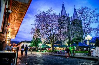 Bed & Breakfast La Casa Amarilla