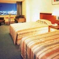 Ana Gate Tower Hotel Osaka