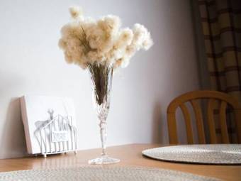 Apartments Rautulampi