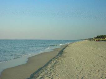 Chalet En Bois � 500m De La Mer