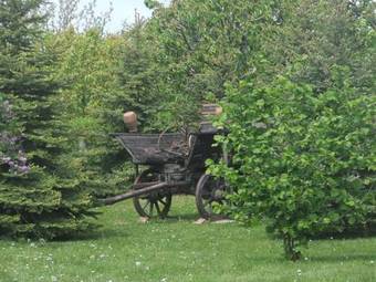 Mol-ker-vill Vend�gh�z