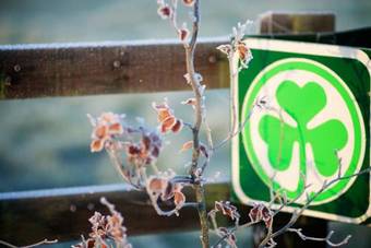 Bed & Breakfast Bunratty Meadows