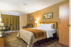 Hotel Comfort Inn New Glasgow