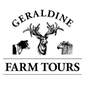 Bed & Breakfast Forest Manor