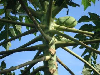 Apartamento Annsrental