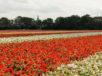 Luxurious Apartment In Sint Maartensbrug With Garden