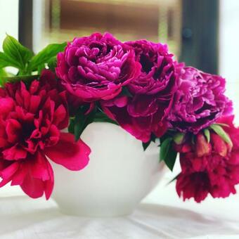 Hostal Restauracja Pensjonat Buda