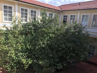 Antik Han Hotel - Special Class