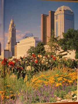 Hotel Best Western Suites- Columbus West