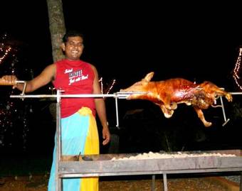 Ver fotos