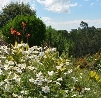 The Hilton Bed And Breakfast
