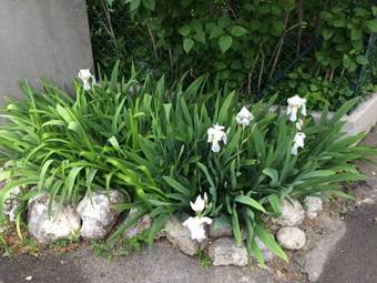 Bed & Breakfast Au Bonheur Des Iris