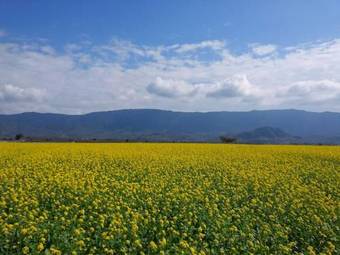 Agroturismo Tao Heung Garden B&B