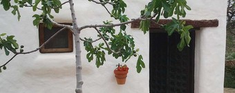 Hotel Rural Cortijo La Alberca