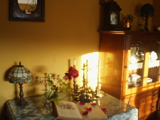 Hotel Alicia Carolina