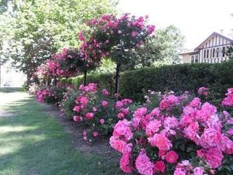 Lindsay House Country Hotel