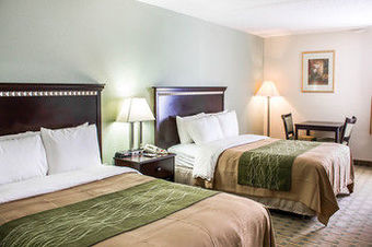 Comfort Inn Hotel