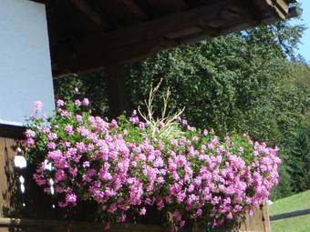 Apartamentos Landhaus Sabine