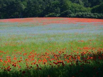 Feriendorf Boeker M�hle