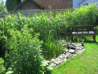 Apartamento Wanderunterkunft In Frauenwald