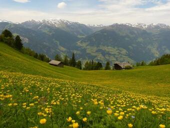 Antonius Natur Apartment - Kinderfreie Unterkunft