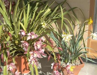 Travellers Rest Motel