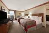 Hotel Holiday Inn Civic Center