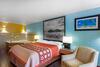 Hotel Super 8 Motel Bradenton