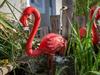 Hotel Ibis Brignoles Provence Verte