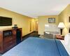 Hotel Quality Inn & Suites (grand Praire)