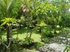 Hostal D'mel Sari Garden View Lembongan