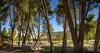 Family Hotel Amarin