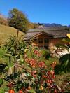 Chalet L'�tale