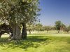 Hotel Denia Marriott La Sella Golf Resort & Spa